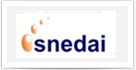 SNEDAI HOLDING